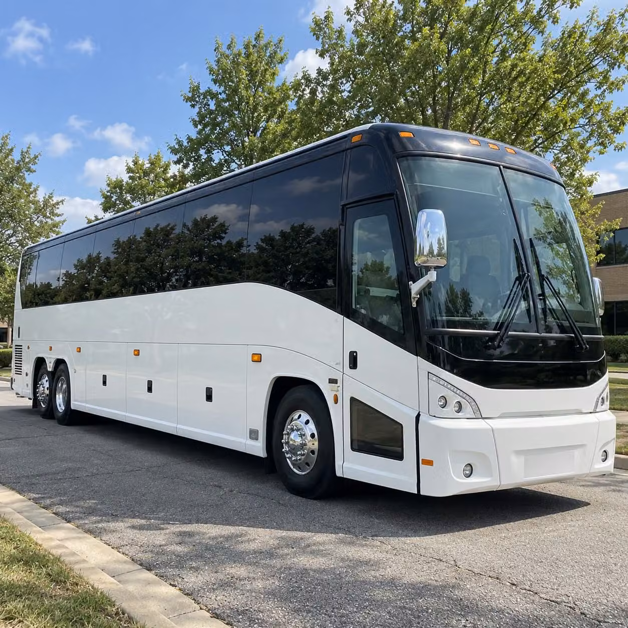 field trip transportation to santa cruz s best science and nature destinations
